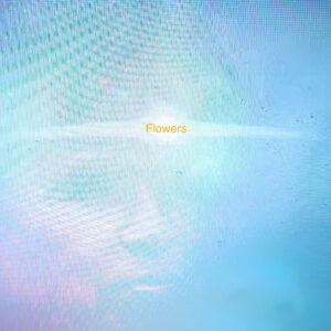 Flores